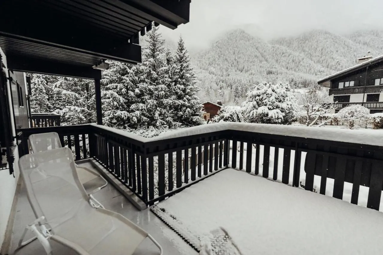 Liarets Furnished Flat Apartment Chamonix